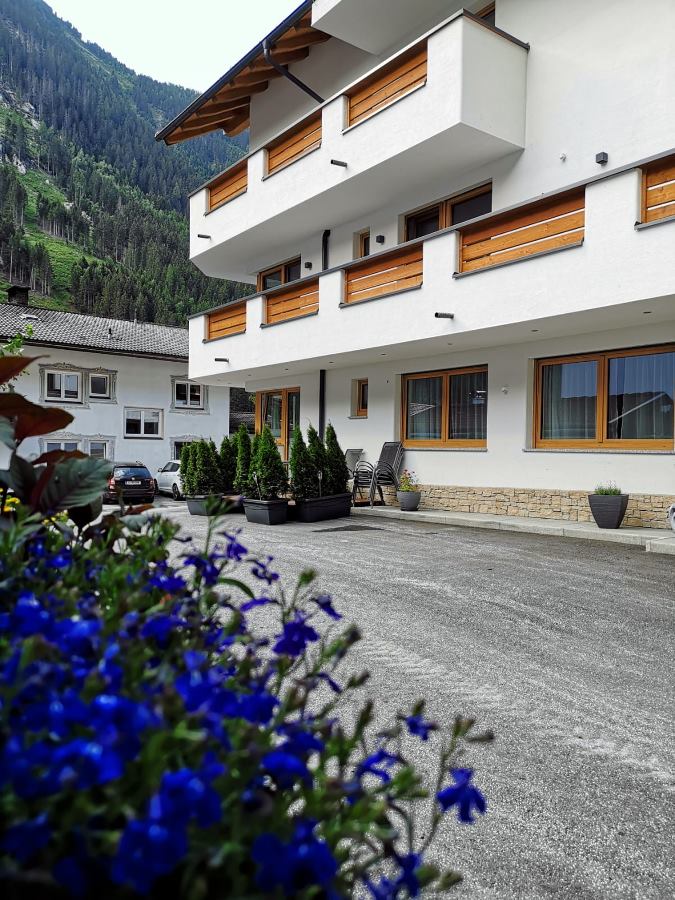 Appartement 3